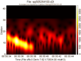 1995-05-26 41:00